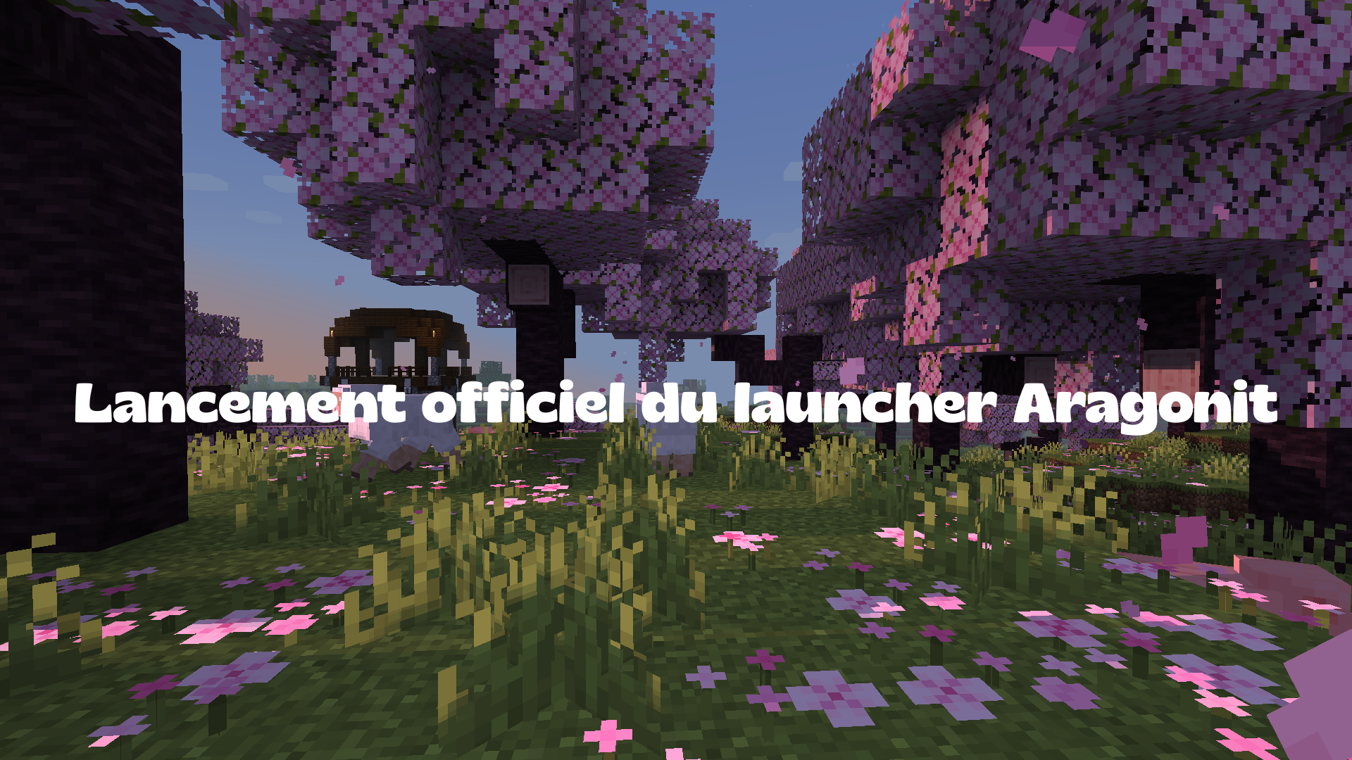 ⚔️ Lancement officiel du launcher Aragonite